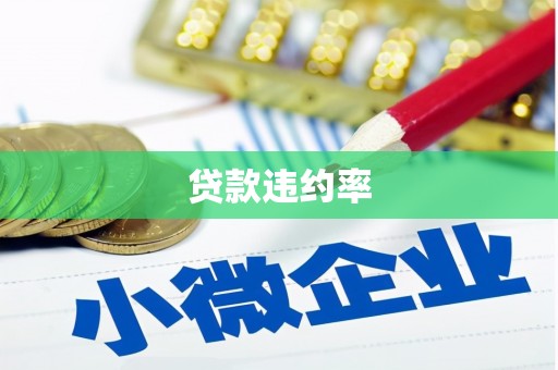 巴中贷款违约率