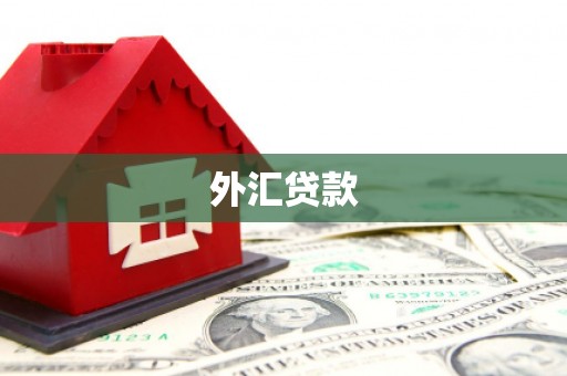 巴中外汇贷款