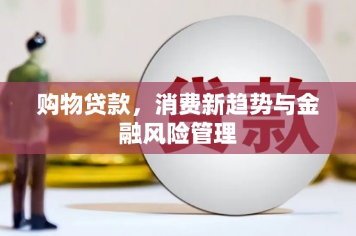 巴中购物贷款，消费新趋势与金融风险管理