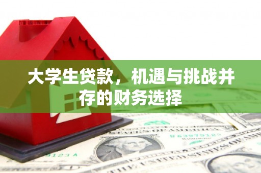 巴中大学生贷款，机遇与挑战并存的财务选择
