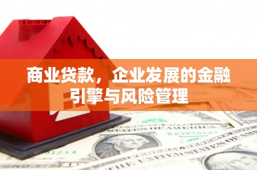 巴中商业贷款，企业发展的金融引擎与风险管理