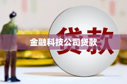 巴中金融科技公司贷款
