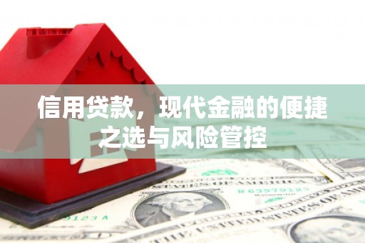 巴中信用贷款，现代金融的便捷之选与风险管控