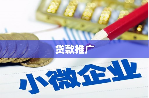 巴中贷款推广