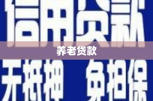 巴中养老贷款
