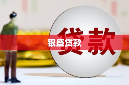 巴中银盛贷款