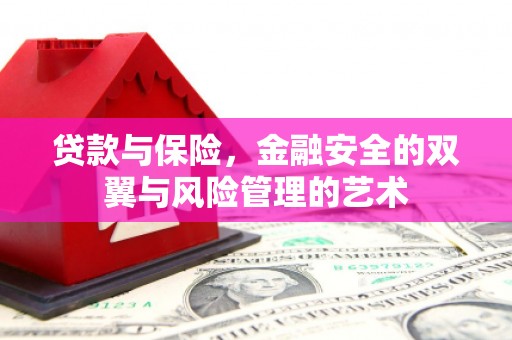 巴中贷款与保险，金融安全的双翼与风险管理的艺术
