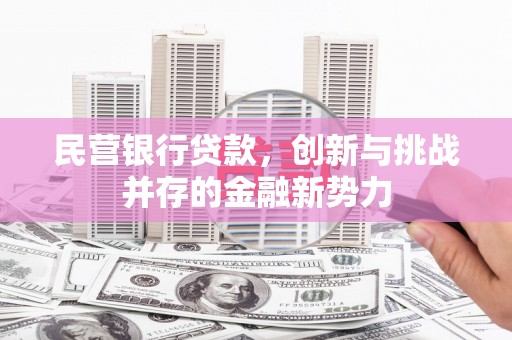 巴中民营银行贷款，创新与挑战并存的金融新势力