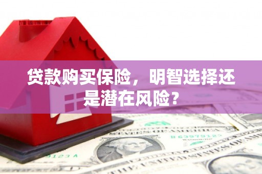 巴中贷款购买保险，明智选择还是潜在风险？