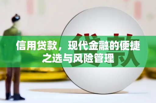 巴中信用贷款，现代金融的便捷之选与风险管理