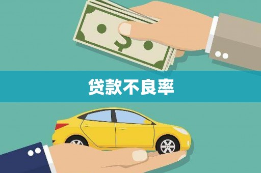 巴中贷款不良率