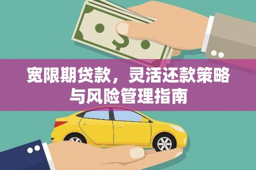 巴中宽限期贷款，灵活还款策略与风险管理指南