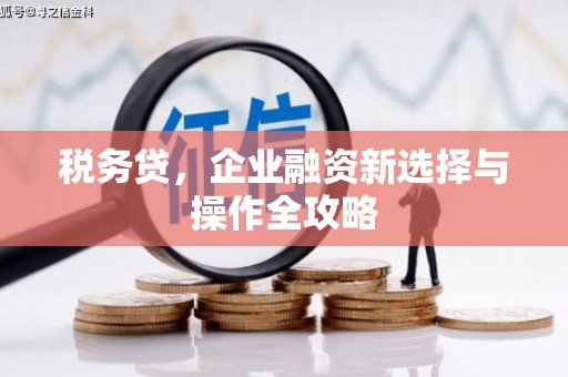 巴中税务贷，企业融资新选择与操作全攻略