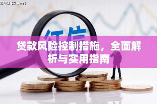 巴中贷款风险控制措施，全面解析与实用指南