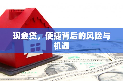 巴中现金贷，便捷背后的风险与机遇