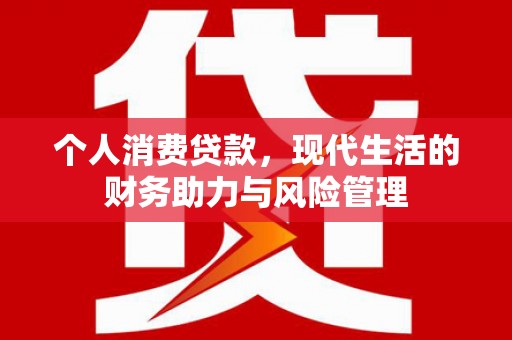 巴中个人消费贷款，现代生活的财务助力与风险管理