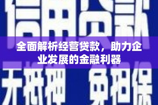 巴中全面解析经营贷款，助力企业发展的金融利器