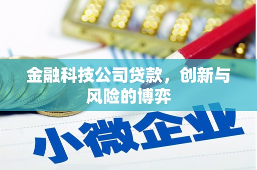 巴中金融科技公司贷款，创新与风险的博弈