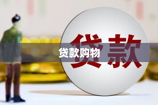 巴中贷款购物