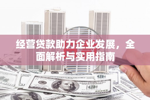 巴中经营贷款助力企业发展，全面解析与实用指南