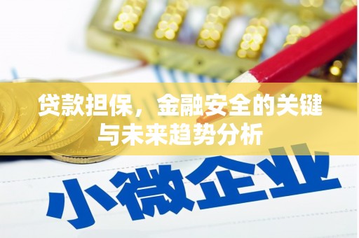 巴中贷款担保，金融安全的关键与未来趋势分析