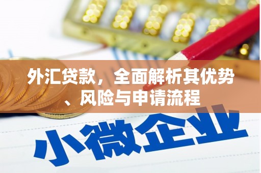 巴中外汇贷款，全面解析其优势、风险与申请流程