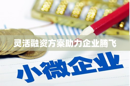 巴中灵活融资方案助力企业腾飞