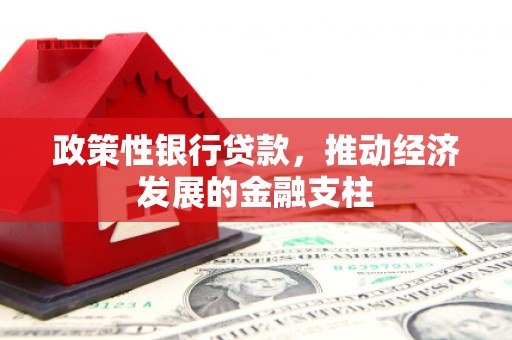 巴中政策性银行贷款，推动经济发展的金融支柱
