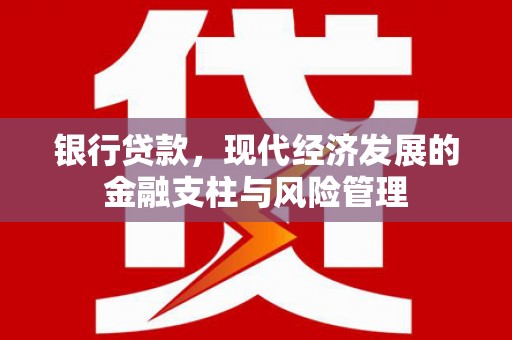 巴中银行贷款，现代经济发展的金融支柱与风险管理