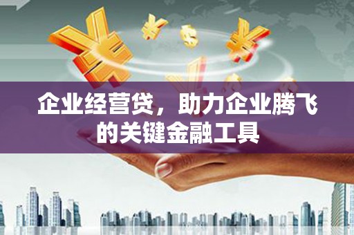 巴中企业经营贷，助力企业腾飞的关键金融工具