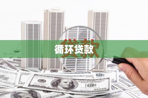 巴中循环贷款