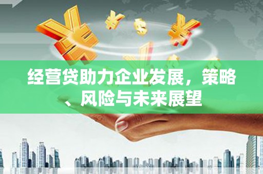巴中经营贷助力企业发展，策略、风险与未来展望