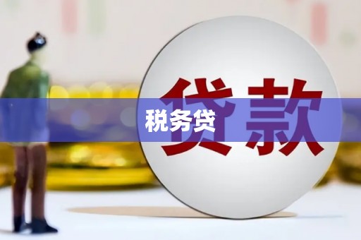 巴中税务贷