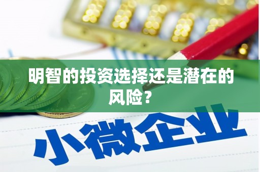 巴中明智的投资选择还是潜在的风险？