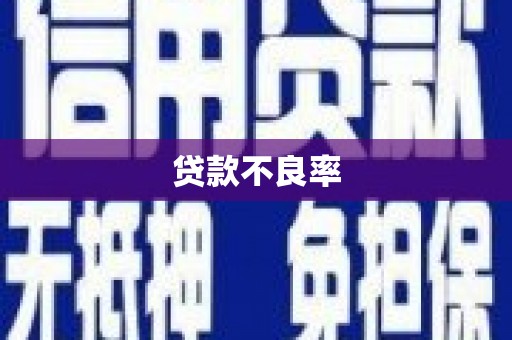 巴中贷款不良率