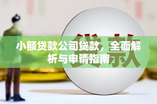 巴中小额贷款公司贷款，全面解析与申请指南