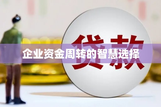 巴中企业资金周转的智慧选择