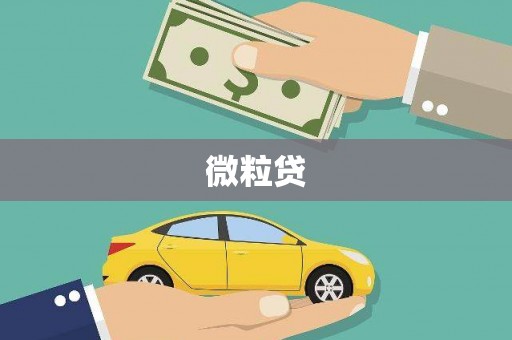 巴中微粒贷