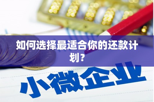 巴中如何选择最适合你的还款计划？