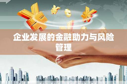 巴中企业发展的金融助力与风险管理