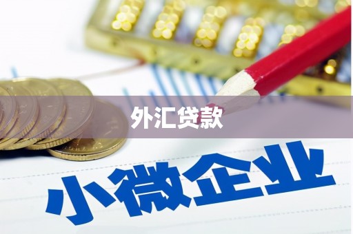 巴中外汇贷款