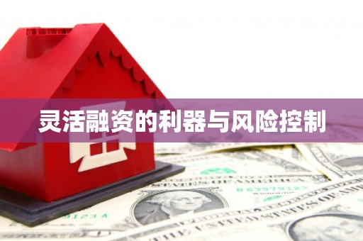 巴中灵活融资的利器与风险控制