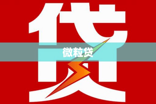 巴中微粒贷