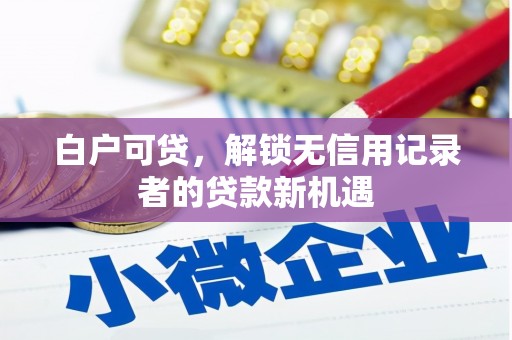 巴中白户可贷，解锁无信用记录者的贷款新机遇