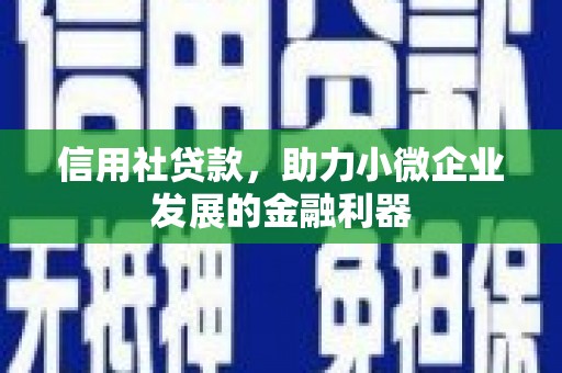 巴中信用社贷款，助力小微企业发展的金融利器
