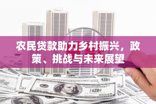 巴中农民贷款助力乡村振兴，政策、挑战与未来展望
