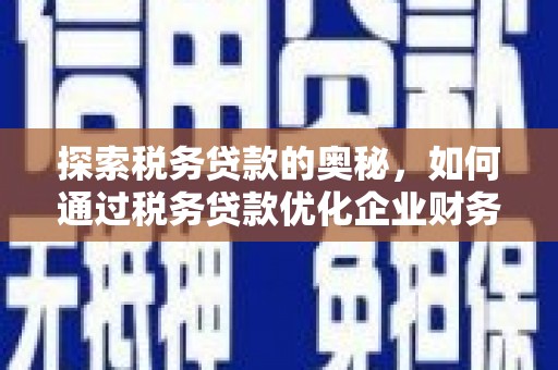 巴中探索税务贷款的奥秘，如何通过税务贷款优化企业财务