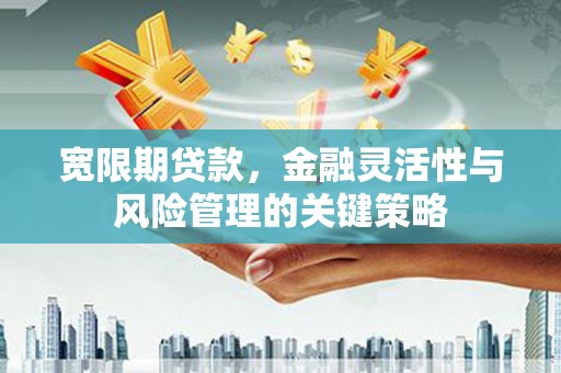 巴中宽限期贷款，金融灵活性与风险管理的关键策略