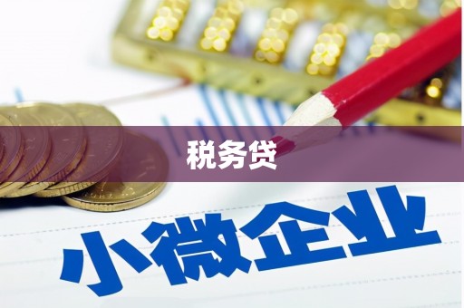 巴中税务贷
