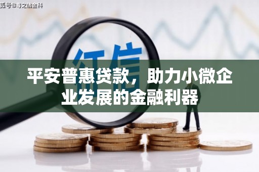 巴中平安普惠贷款，助力小微企业发展的金融利器
